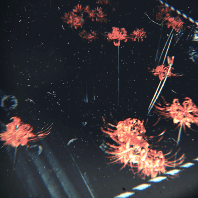 Sneakyのジャケット写真