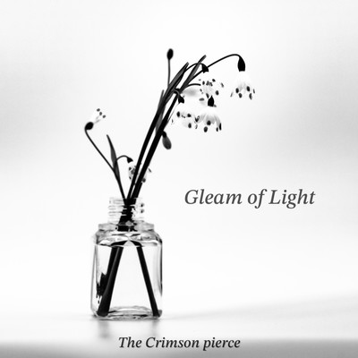 Gleam of Light Front Cover