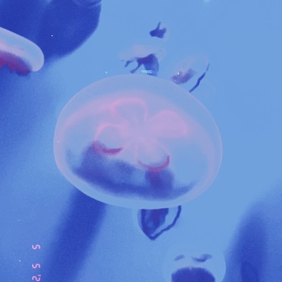 blurry stars (feat. Izuko.) Front Cover