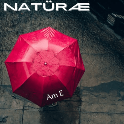 Am E Front Cover