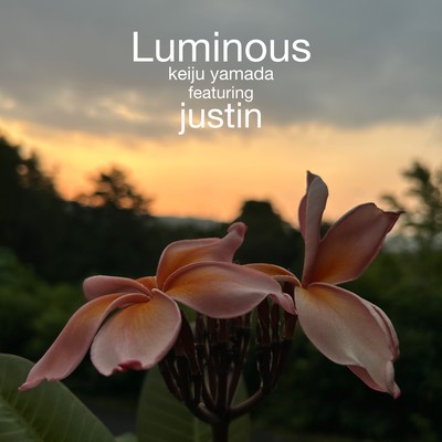 Luminous (feat. justin) Front Cover