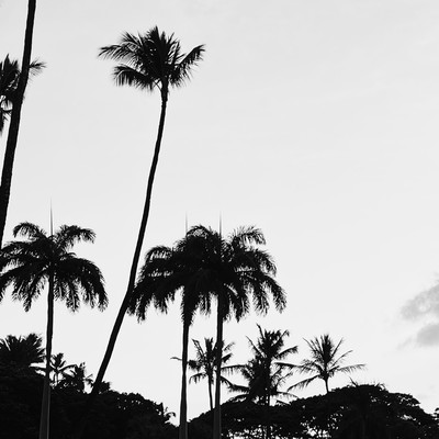 Stranger Front Cover