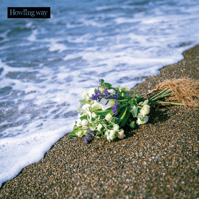 Last rally Front Cover