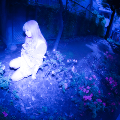 scent of starsのジャケット写真