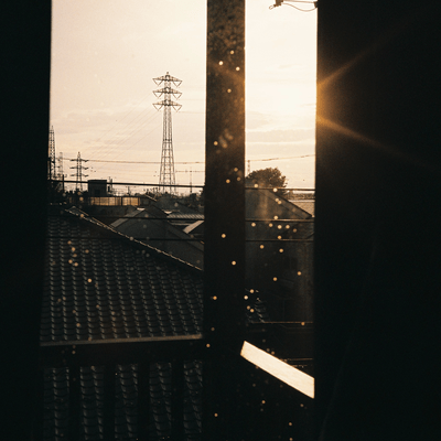 Sunday that kill the spider Front Cover