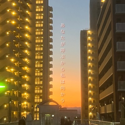 あなたが呼ぶから私は向かうのジャケット写真