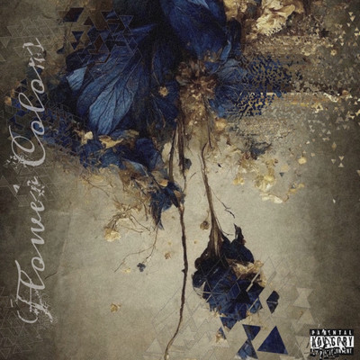FLOWER COLORS Front Cover