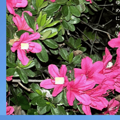 you many mill (feat. yella goat) Front Cover