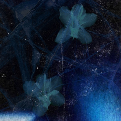 SASAYAKANA SACHI Front Cover