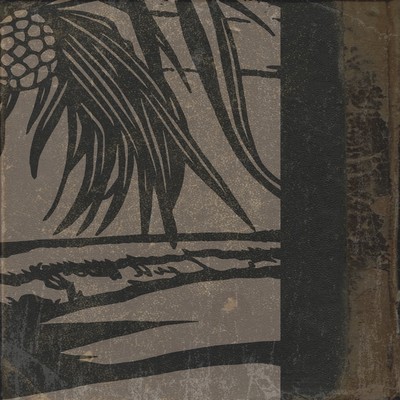 hamakaze Front Cover