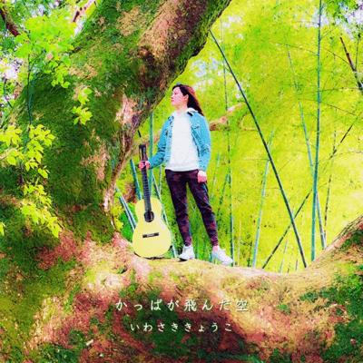 かっぱが飛んだ空のジャケット写真