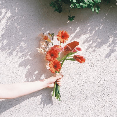 Spring Nightfall Front Cover