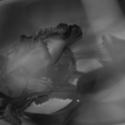 pious?のジャケット写真