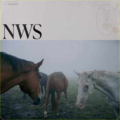 NWSのジャケット写真