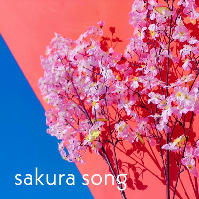 sakura songのジャケット写真