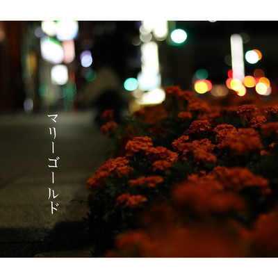 Marigold Front Cover