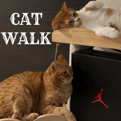 CAT WALK Front Cover