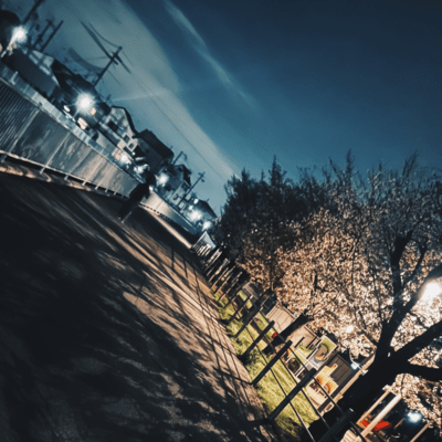 生きた私と夢幻のジャケット写真