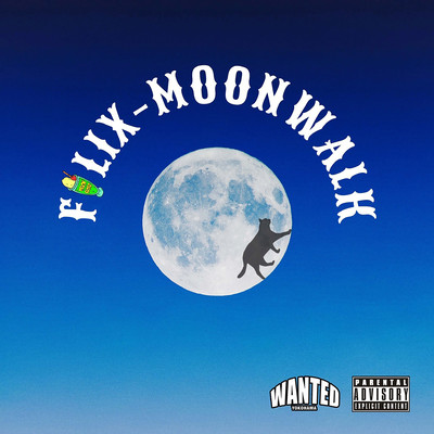Moonwalkのジャケット写真