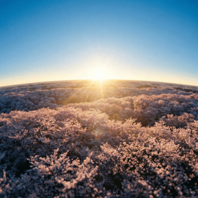 Margins of Spring Light Front Cover