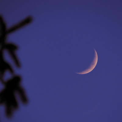 Mauveのジャケット写真