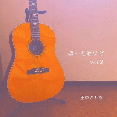 Homemade vol2 Front Cover