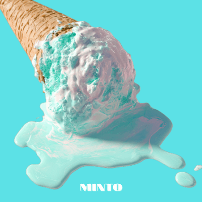 MINT Front Cover