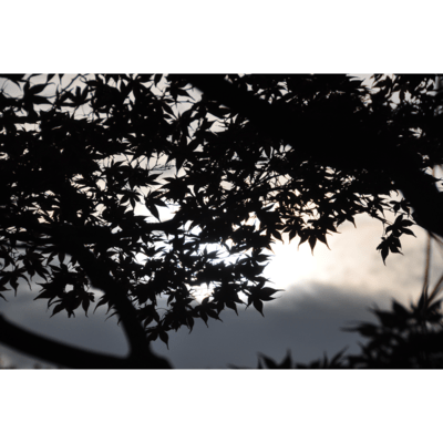 I don't want to play the same thing Front Cover