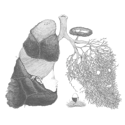 Breath and Nest Front Cover