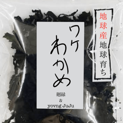 ワケわかめのジャケット写真
