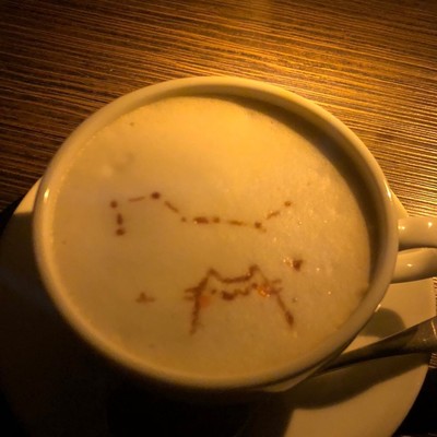 Moonlight Bar Front Cover