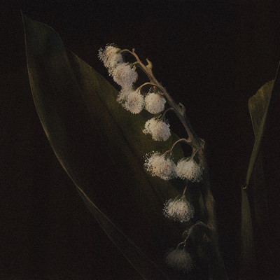 生きる約束のジャケット写真