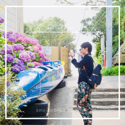 shuthepedia Front Cover