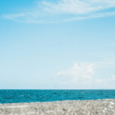 TOYOSU MINORITY Front Cover