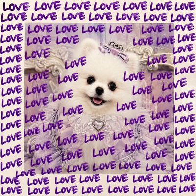 SO MANY LOVES! Front Cover