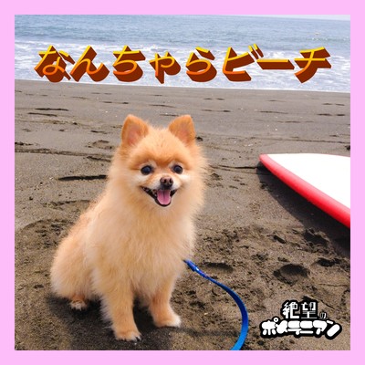 なんちゃらビーチのジャケット写真