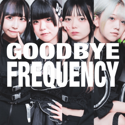 goodbye frequency Front Cover