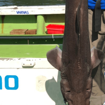 Updateのジャケット写真