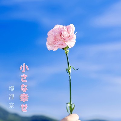 小さな幸せのジャケット写真