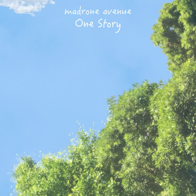 One Story Front Cover