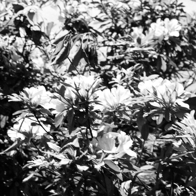 luv letterのジャケット写真