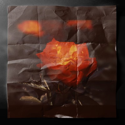 Paranoia Front Cover