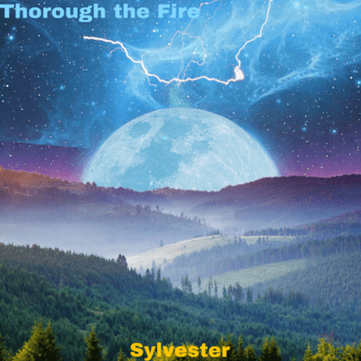 Through the Fireのジャケット写真