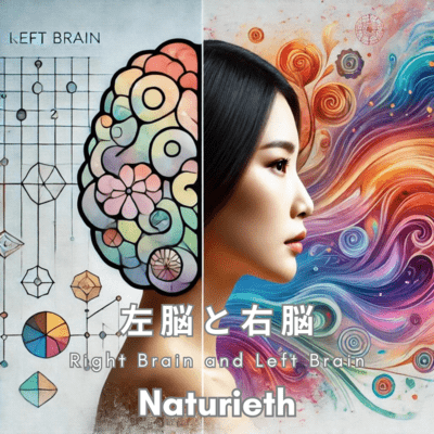 Right Brain and Left Brain Front Cover