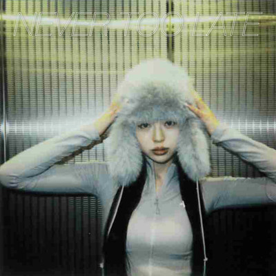 Never Too Lateのジャケット写真