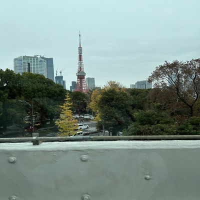 Beyond the rainbow Front Cover