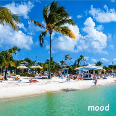 mood Front Cover