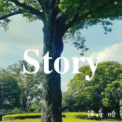 Story Front Cover