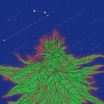 MESSIのジャケット写真