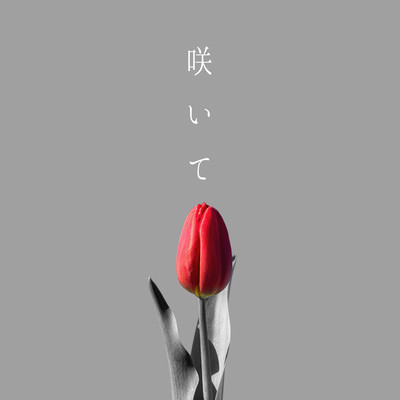 咲いてのジャケット写真